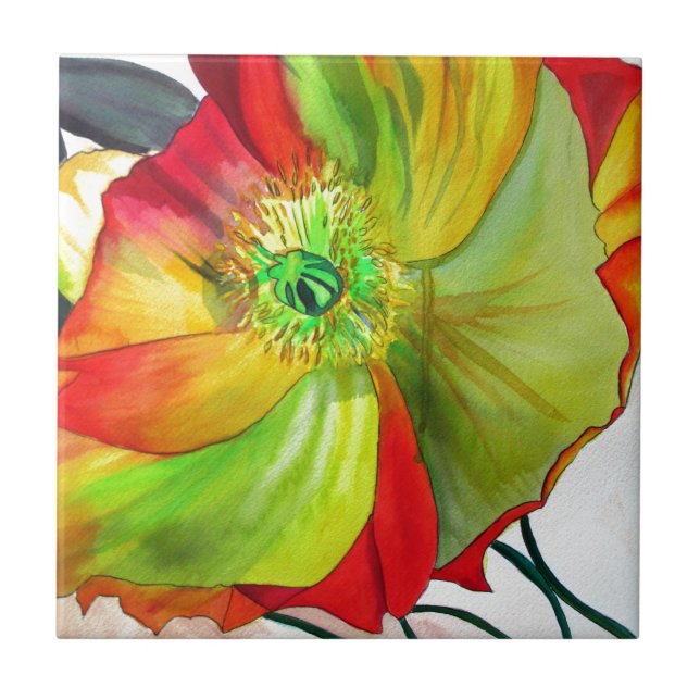 Azulejo De Cerámica Macroamenta de arte (Frente)