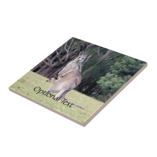 Azulejo De Cerámica Madre canguro con Joey bebé en su valija