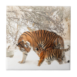 Azulejo De Cerámica Madre tigre y bebé