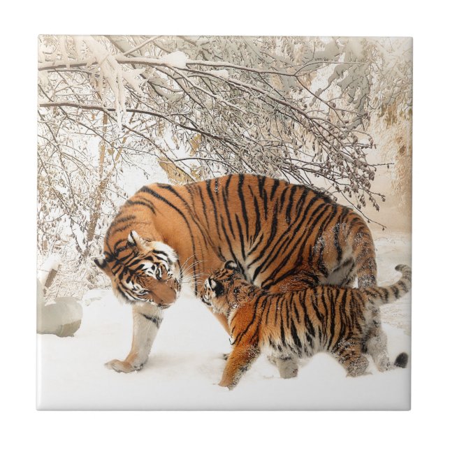 Azulejo De Cerámica Madre tigre y bebé (Frente)