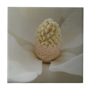 Azulejo De Cerámica Magnolia Pequeña (4,25" x 4,25") Tejido de fotogra