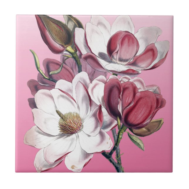 Azulejo De Cerámica Magnolia rosa (Frente)