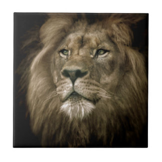 Azulejo De Cerámica Majesty.jpg