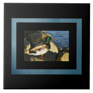 Azulejo De Cerámica Mallard Duck Tile