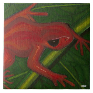 Azulejo De Cerámica Manny el Mantella (rana)