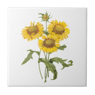 Azulejo De Cerámica Manta Floral Vintage Flor de Girasol por Redoute