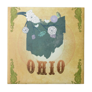 Azulejo De Cerámica Mapa de Ohio con los pájaros preciosos