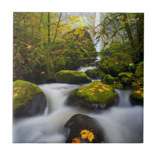 Azulejo De Cerámica Maple de McCord Creek Bigleaf Columbia Gorge, O