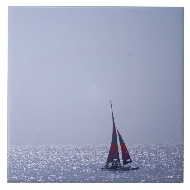 Azulejo De Cerámica Mar 23 (Frente)