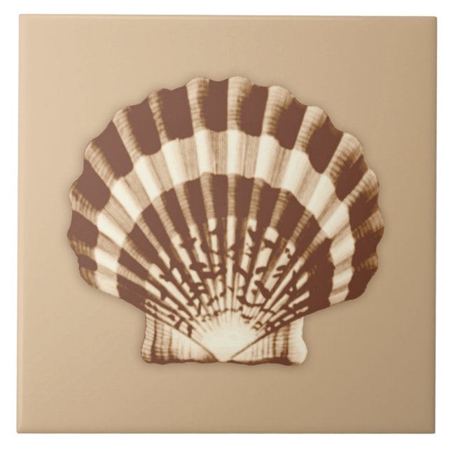 Azulejo De Cerámica Mar Shell - marrón y beige (Frente)