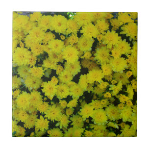 Azulejo De Cerámica Margarita amarilla Daisy Tile