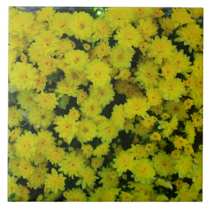 Azulejo De Cerámica Margarita amarilla Daisy Tile