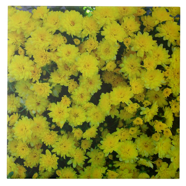 Azulejo De Cerámica Margarita amarilla Daisy Tile (Frente)