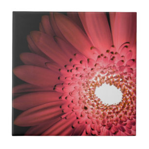 Azulejo De Cerámica Margarita de Gerbera