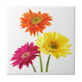 Azulejo De Cerámica Margarita del Gerbera