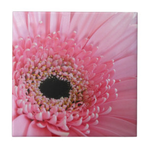 Azulejo De Cerámica Margarita Gerbera