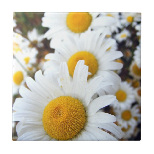 Azulejo De Cerámica Margaritas (Frente)