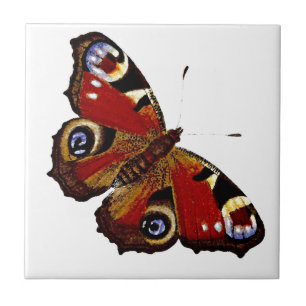 Azulejo De Cerámica Mariposa