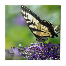 Azulejo De Cerámica Mariposa amarilla y negra en lavanda