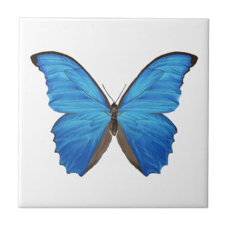 Azulejo De Cerámica Mariposa azul de Morpho