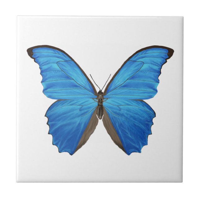Azulejo De Cerámica Mariposa azul de Morpho (Frente)