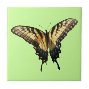 Azulejo De Cerámica Mariposa Cola de Golondrina III Hermosa Foto Color