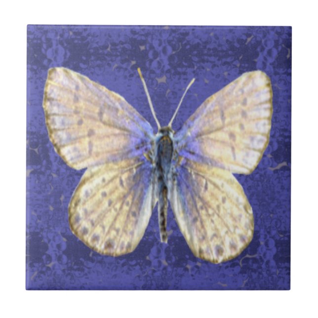 Azulejo De Cerámica Mariposa del azul de New Hampshire Karner (Frente)
