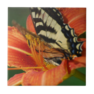 Azulejo De Cerámica Mariposa en lirio