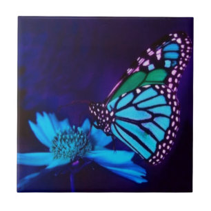 Azulejo De Cerámica Mariposa en luz azul