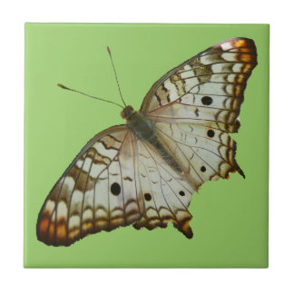 Azulejo De Cerámica Mariposa exótica de Santa Lucía