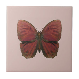 Azulejo De Cerámica Mariposa Gallo Rojo