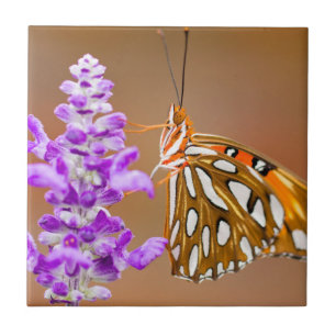 Azulejo De Cerámica Mariposa Gulf Fritillary Naranja Brillante