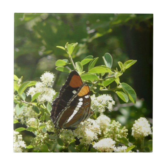 Azulejo De Cerámica Mariposa Hermana de California en Yosemite (Frente)