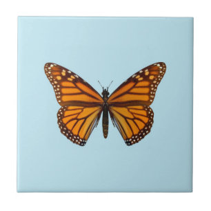 Azulejo De Cerámica Mariposa Monarca