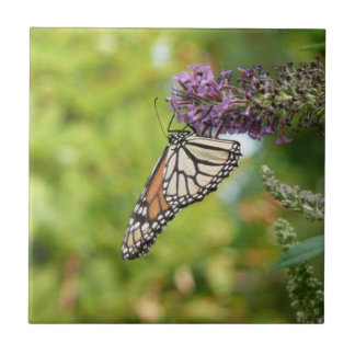 Azulejo De Cerámica Mariposa monarca sobre mariposa morada Bush