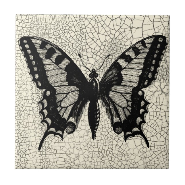 Azulejo De Cerámica Mariposa negra y blanca en fondo roto (Frente)