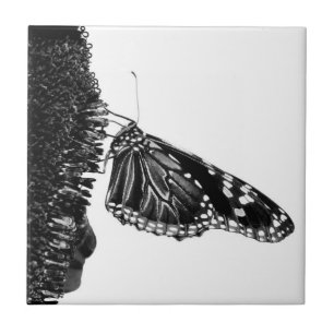 Azulejo De Cerámica mariposa tímida blacq