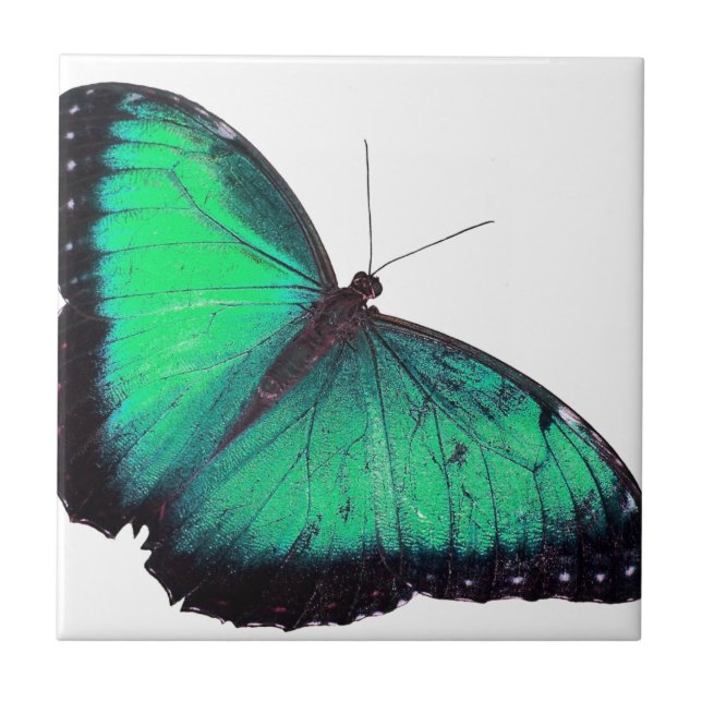Azulejo De Cerámica Mariposa verde (Frente)