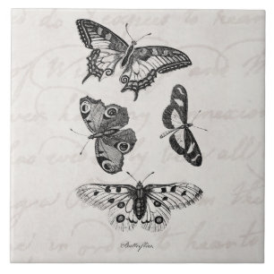 Azulejo De Cerámica Mariposas de los 1800s del ilustracion de la