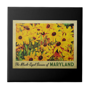 Azulejo De Cerámica Maryland Negro-Observó Susans