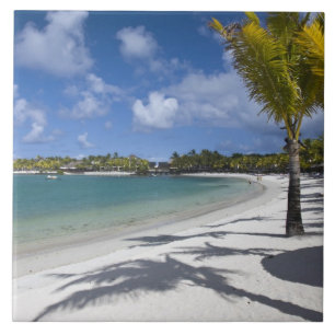 Azulejo De Cerámica Mauricio, Mauricio oriental, Trou d'Eau Douce,