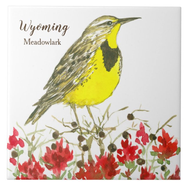Azulejo De Cerámica Meadowlark del pincel indio Wyoming Souvenir (Frente)