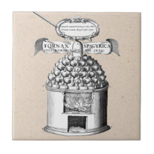 Medicina herbaria espagiria