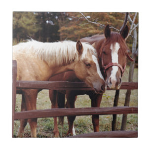 Azulejo De Cerámica Mejores amigos