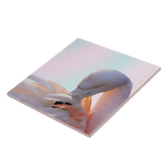 Azulejo De Cerámica Menta del rosa del flamenco