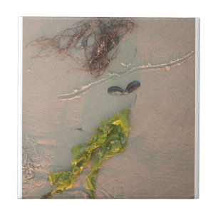 Azulejo De Cerámica Mermaid