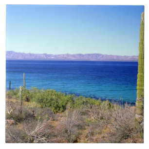Azulejo De Cerámica México, Baja California Sur, Mulege, Bahia 2