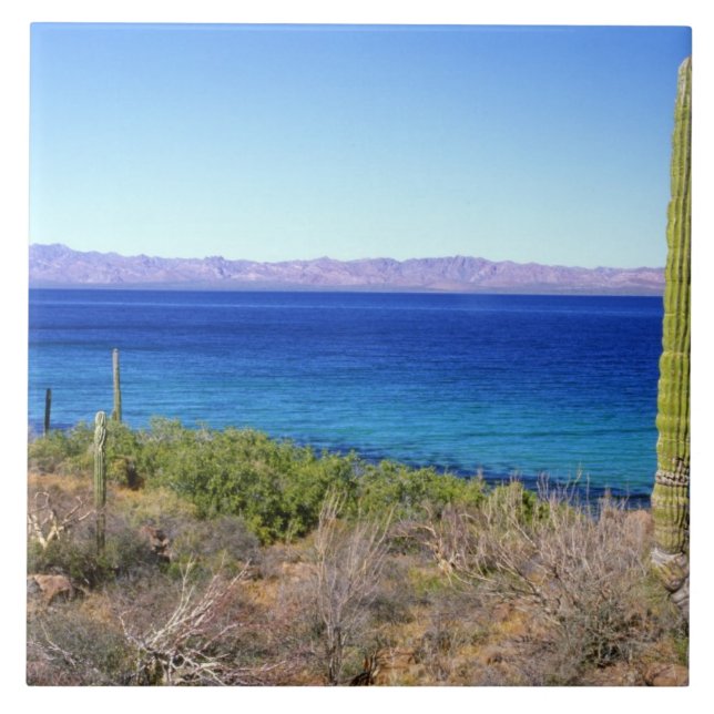 Azulejo De Cerámica México, Baja California Sur, Mulege, Bahia 2 (Frente)
