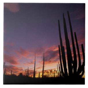 Azulejo De Cerámica México, Baja del Norte, Catavina Desert Nacional 