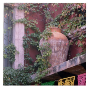 Azulejo De Cerámica México, San Miguel de Allende, Ivy, olla de arcil